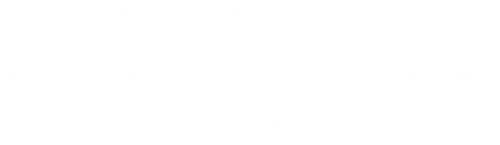 SafetyNet Custodial